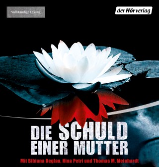 Paula Daly: Die Schuld einer Mutter