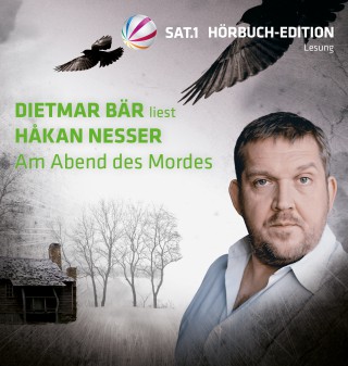 Håkan Nesser: Am Abend des Mordes