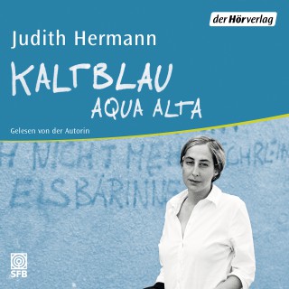 Judith Hermann: Kaltblau