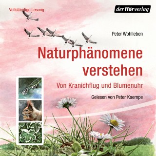Peter Wohlleben: Naturphänomene verstehen