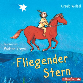 Ursula Wölfel: Fliegender Stern