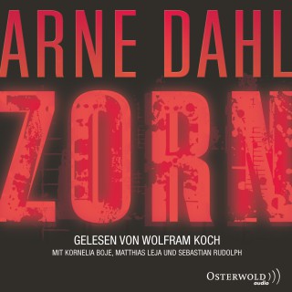 Arne Dahl: Zorn