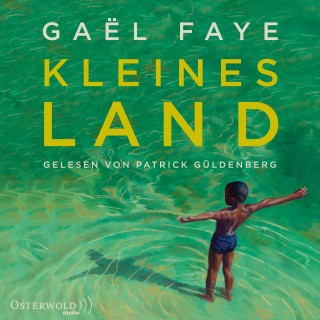 Gaël Faye: Kleines Land