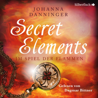 Johanna Danninger: Im Spiel der Flammen
