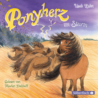 Usch Luhn: Ponyherz im Sturm
