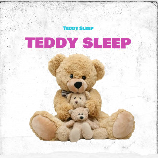 Teddy Sleep: Teddy Sleep
