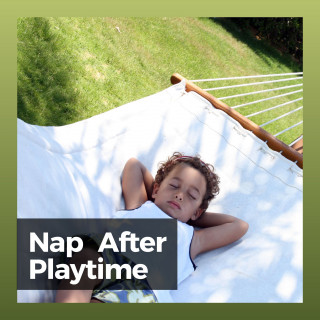 Bright Baby Lullabies, BabySleepDreams, Baby Beethoven: Nap After Playtime