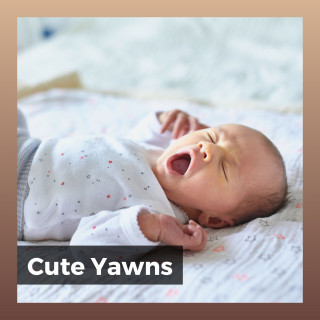 Musica para Bebes, Baby Sleep Lullaby Academy, Baby Music Center: Cute Yawns