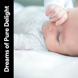 Musica para Bebes, Baby Sweet Dream, Lullaby Orchestra: Dreams of Pure Delight