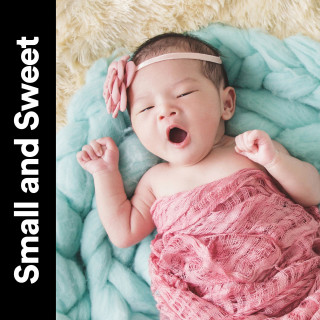 Baby Lullaby & Baby Lullaby, Baby Lullaby: Small and Sweet