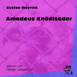 Gustav Meyrink: Amadeus Knödlseder