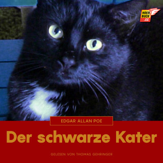 Edgar Allan Poe: Der schwarze Kater