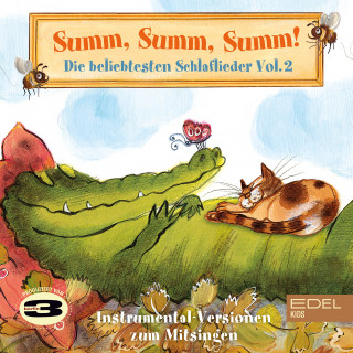 3Berlin: Summ, Summ, Summ! - Die beliebtesten Schlaflieder Vol. 2 (Instrumental-Versionen zum Mitsingen)