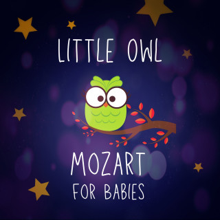 Little Owl: Mozart for Babies