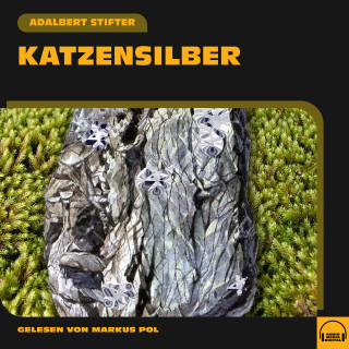Adalbert Stifter: Katzensilber