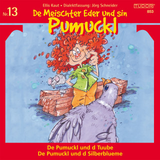 De Meischter Eder und sin Pumuckl: De Meischter Eder und sin Pumuckl, Nr. 13