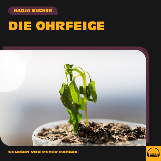 Nadja Bucher: Die Ohrfeige