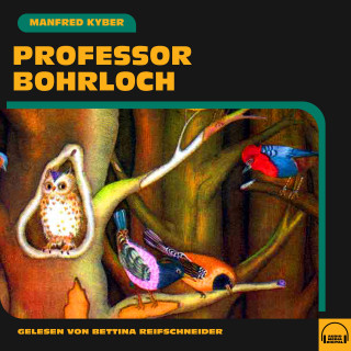 Manfred Kyber: Professor Bohrloch