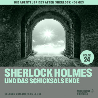 Sherlock Holmes, Sir Arthur Conan Doyle: Sherlock Holmes und das Schicksals Ende (Die Abenteuer des alten Sherlock Holmes, Folge 24)