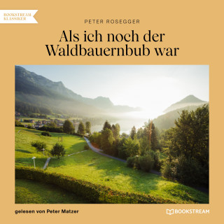 Peter Rosegger: Als ich noch der Waldbauernbub war