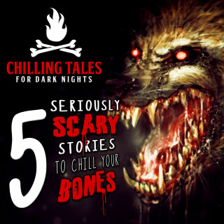 Chilling Tales for Dark Nights: 5 Seriously Scary Stories to Chill Your Bones