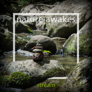 Nature Awakes: Stream