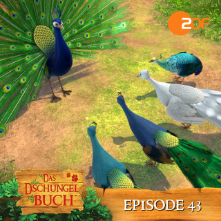 Das Dschungelbuch: Episode 43: Pfau im Höhenflug (Das Original Hörspiel zur TV Serie)