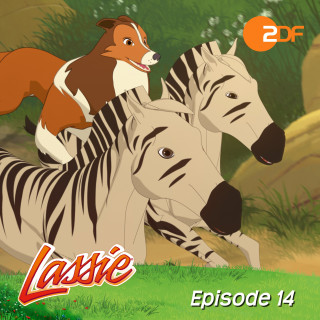 Lassie: Episode 14: Die Hauptattraktion