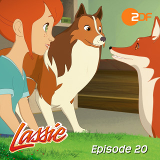Lassie: Episode 20: Besuch aus der Wildnis