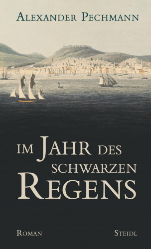 Alexander Pechmann: Im Jahr des schwarzen Regens