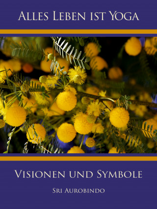 Sri Aurobindo: Visionen und Symbole