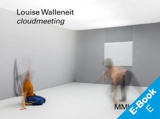 Louise Walleneit, Barbara John: Louise Walleneit: cloudmeeting