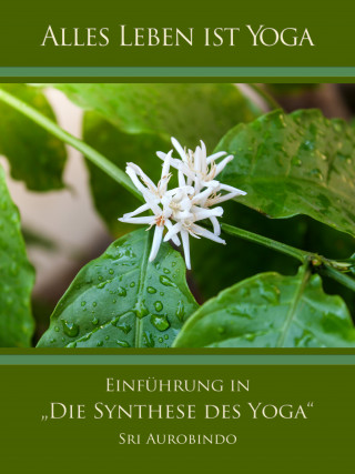 Sri Aurobindo: Einführung in „Die Synthese des Yoga“