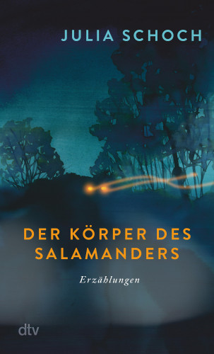Julia Schoch: Der Körper des Salamanders