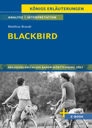 Sabine Hasenbach: Blackbird von Matthias Brandt - Textanalyse und Interpretation