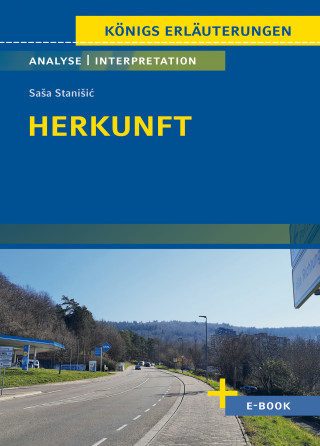 Saša Stanišić: Herkunft von Saša Stanišić - Textanalyse und Interpretation