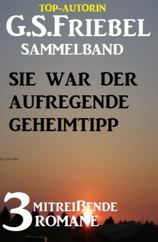 G. S. Friebel: Sie war der aufregende Geheimtipp: 3 mitreißende Romane