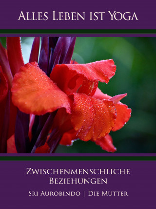 Sri Aurobindo, Die (d.i. Mira Alfassa) Mutter: Zwischenmenschliche Beziehungen