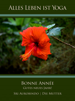 Sri Aurobindo, Die (d.i. Mira Alfassa) Mutter: Bonne Année – Gutes neues Jahr!
