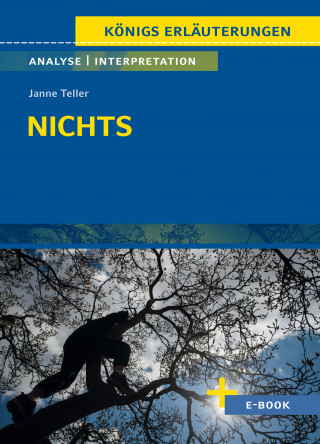 Janne Teller: Nichts von Janne Teller - Textanalyse und Interpretation