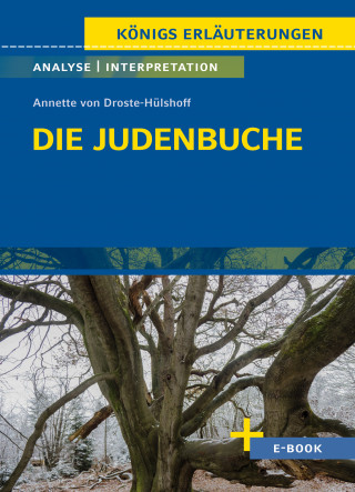 Annette von Droste-Hülshoff: Die Judenbuche von Annette von Droste-Hülshoff - Textanalyse und Interpretation