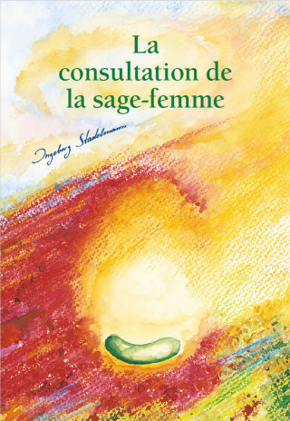 Ingeborg Stadelmann: La consultation de la sage-femme. ebook