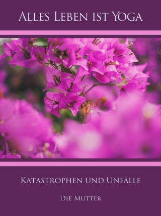 Die (d.i. Mira Alfassa) Mutter: Katastrophen und Unfälle