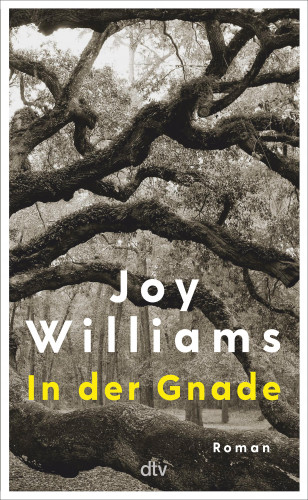 Joy Williams: In der Gnade