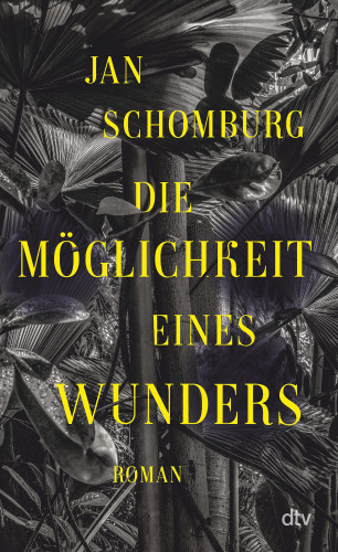 Jan Schomburg: Die Möglichkeit eines Wunders