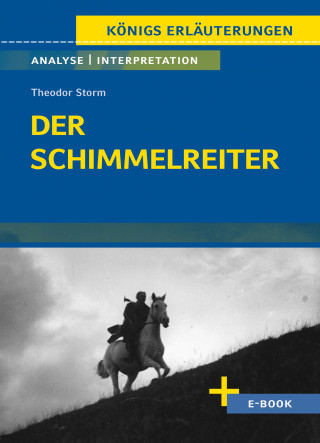 Theodor Storm: Der Schimmelreiter von Theodor Storm - Textanalyse und Interpretation