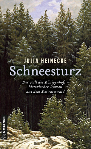 Julia Heinecke: Schneesturz - Der Fall des Königenhofs