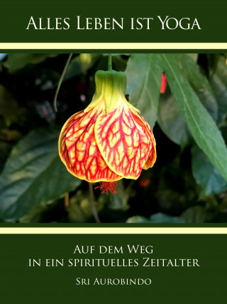 Sri Aurobindo: Auf dem Weg in ein spirituelles Zeitalter