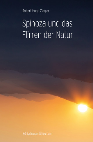 Robert Hugo Ziegler: Spinoza und das Flirren der Natur