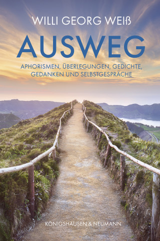 Willi Georg Weiß: Ausweg
